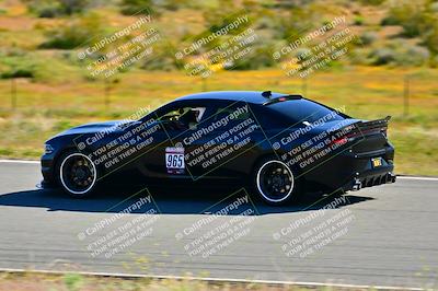 media/Apr-06-2024-Extreme Speed (Sat) [[3431b70655]]/Purple-low int/Session 1-The Bowl/